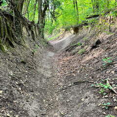 22-04-25 11-20-33 0616